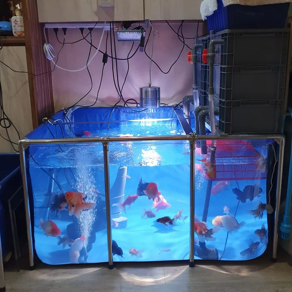 Rivestimento flessibile per stagno in PVC con telaio in acciaio e pannello di visualizzazione per acquari interni/esterni per pesci rossi koi e piante acquatiche, soluzione durevole per stagni da