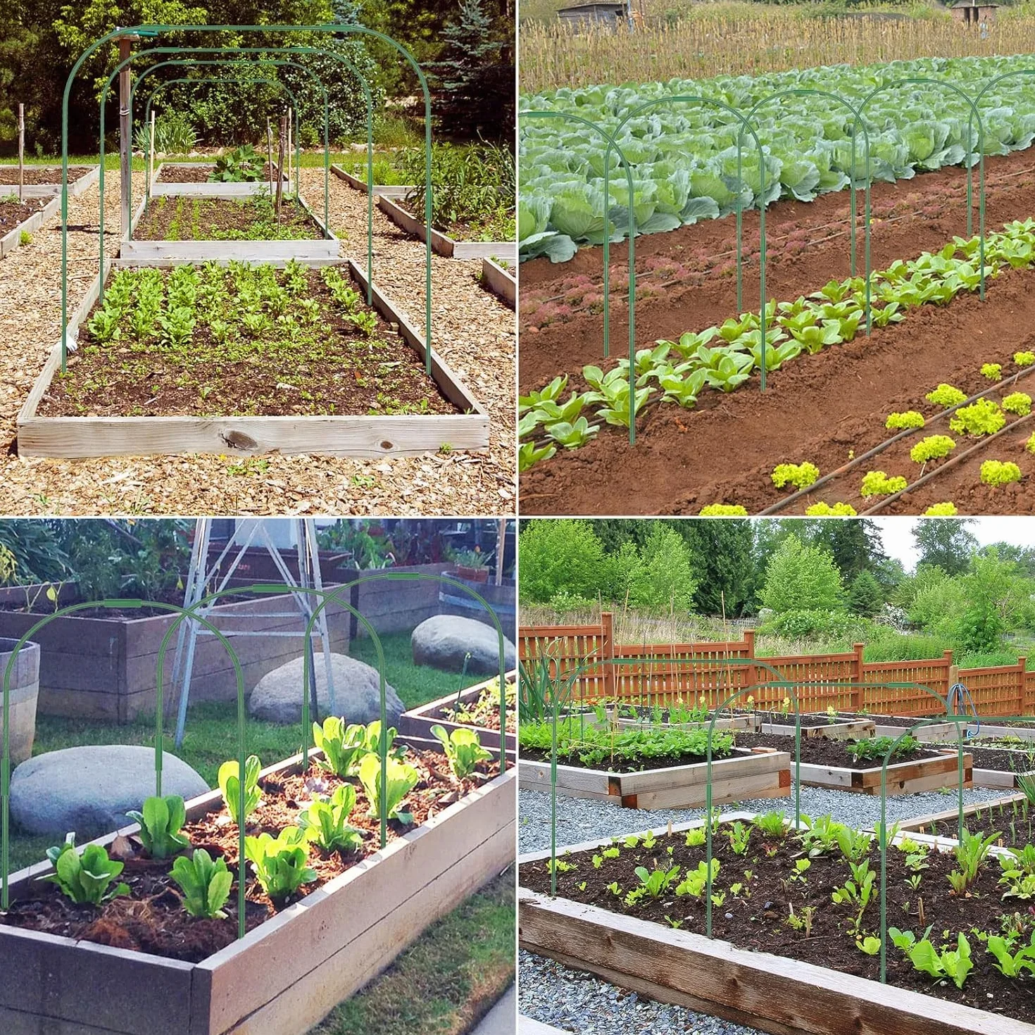 LATERN 6 Pezzi 80CM x 60CM Cerchi da Giardino per Serra, Regolabile Piante Coltivazione Tunnel Telaio, 24 Tubi a Cerchio con 18 Tubi di Collegamento, 18 Morsetti - per Plastica Pellicola Copertura