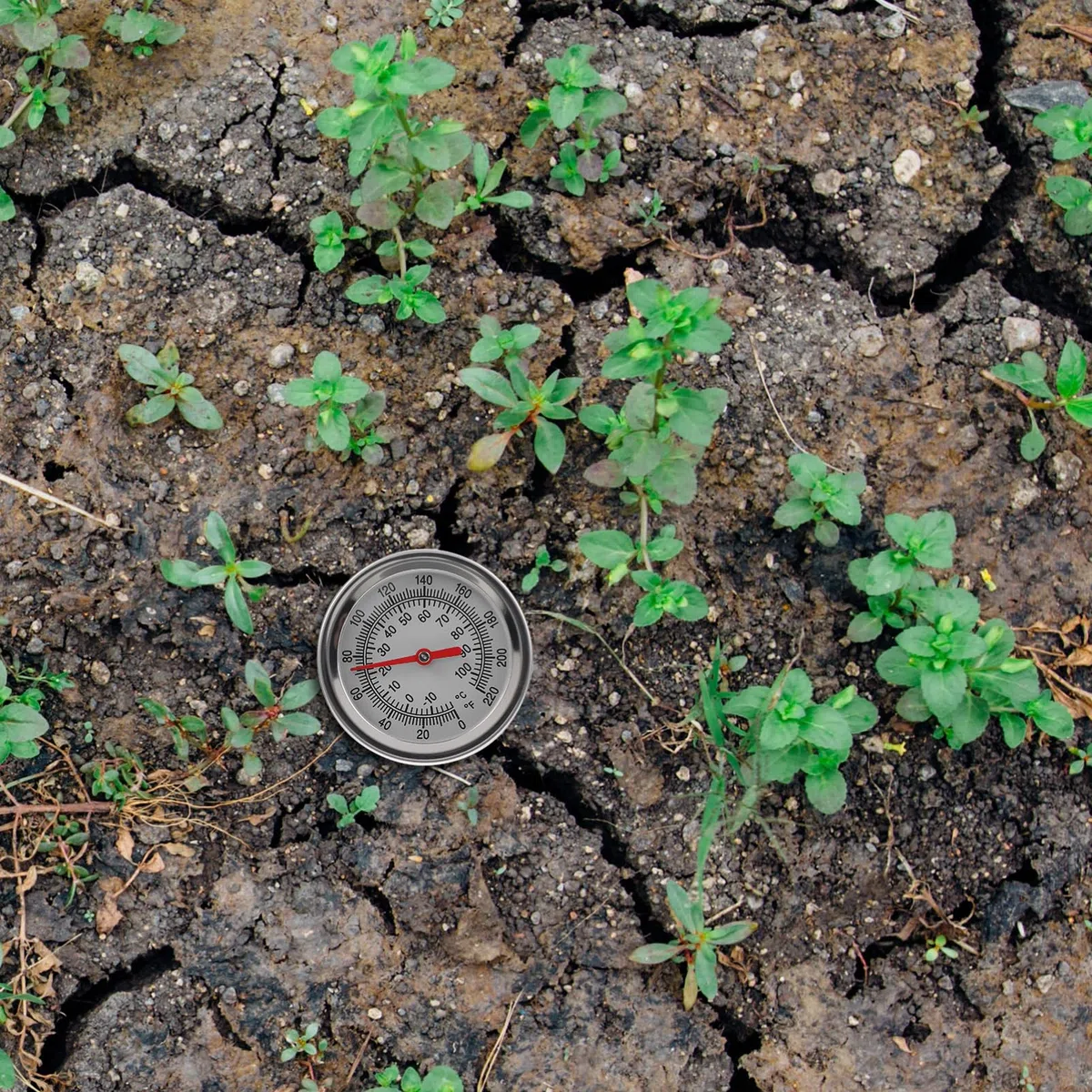 BESPORTBLE 3 Termometri Per Terreno Con Sonda Di Temperatura Per Giardinieri E Compostatori Domestici