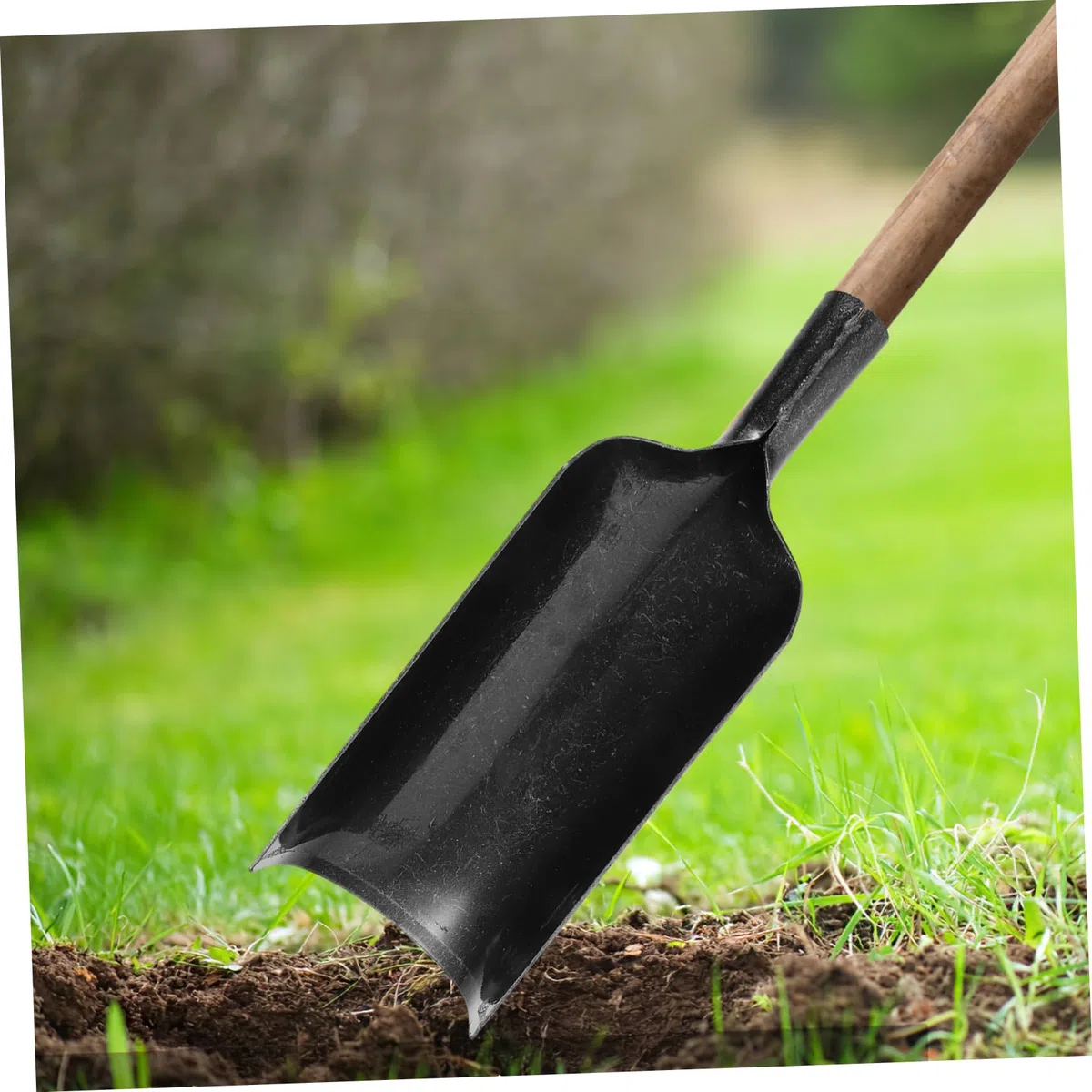 Pala da Scavo per Trapianto in Acciaio al Manganese Nero | Lama Spessa, per Spazi Stretti e Movimento del Terreno, Uso Agricolo, Utensile Manuale