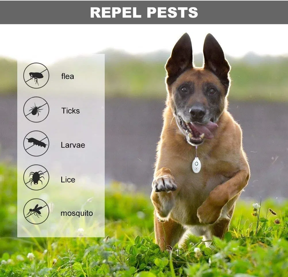 Repellente ad Ultrasuoni Portatile Anti-Zecche e Chip, Portachiavi Elettronico Antizanzare e Insetti per Animali, Campeggio e All'aperto
