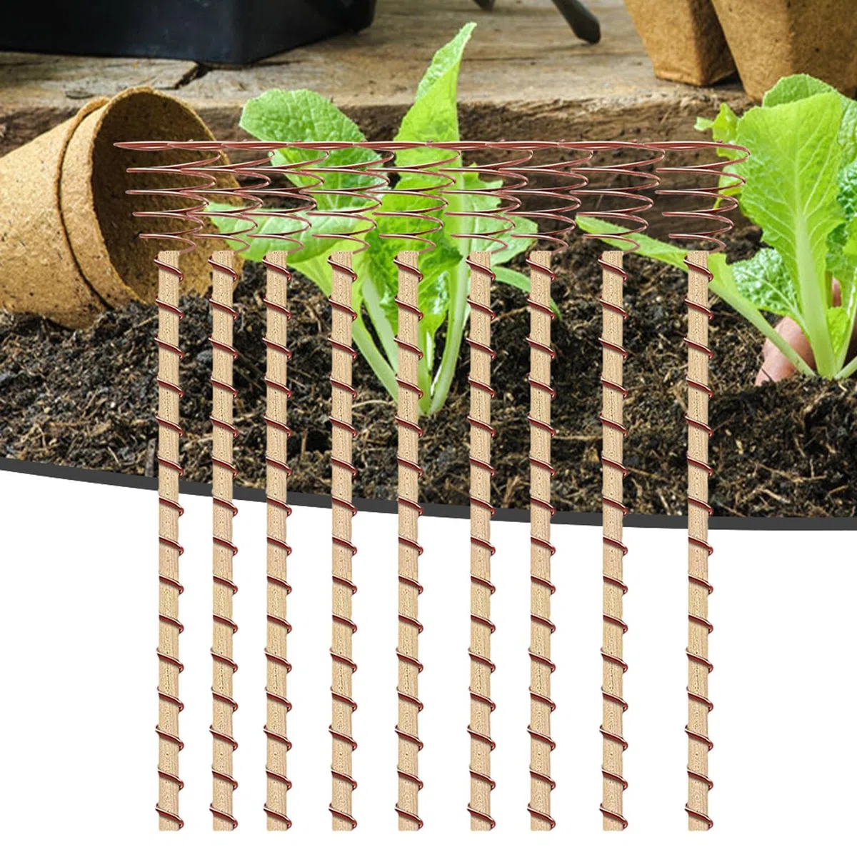 Antenna in Rame per Elettrocoltura | Aste per Elettrocoltura da 35 cm - 10 pezzi lunghi di da Giardino e Bobine in Rame per le Piante, Attrezzi da Giardino - per SuppPiante da e