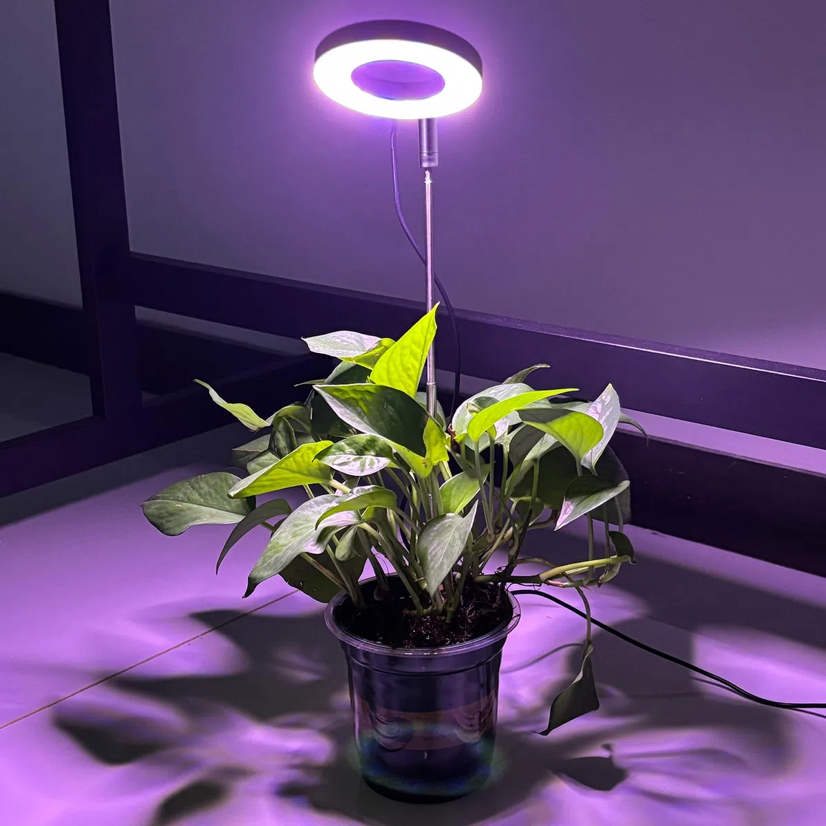 CNMTCOO Luce per piante a LED, spettro completo per piante da interno, altezza regolabile, con adattatore USB, 3 modalità di luce, timer di 3/9/12 ore