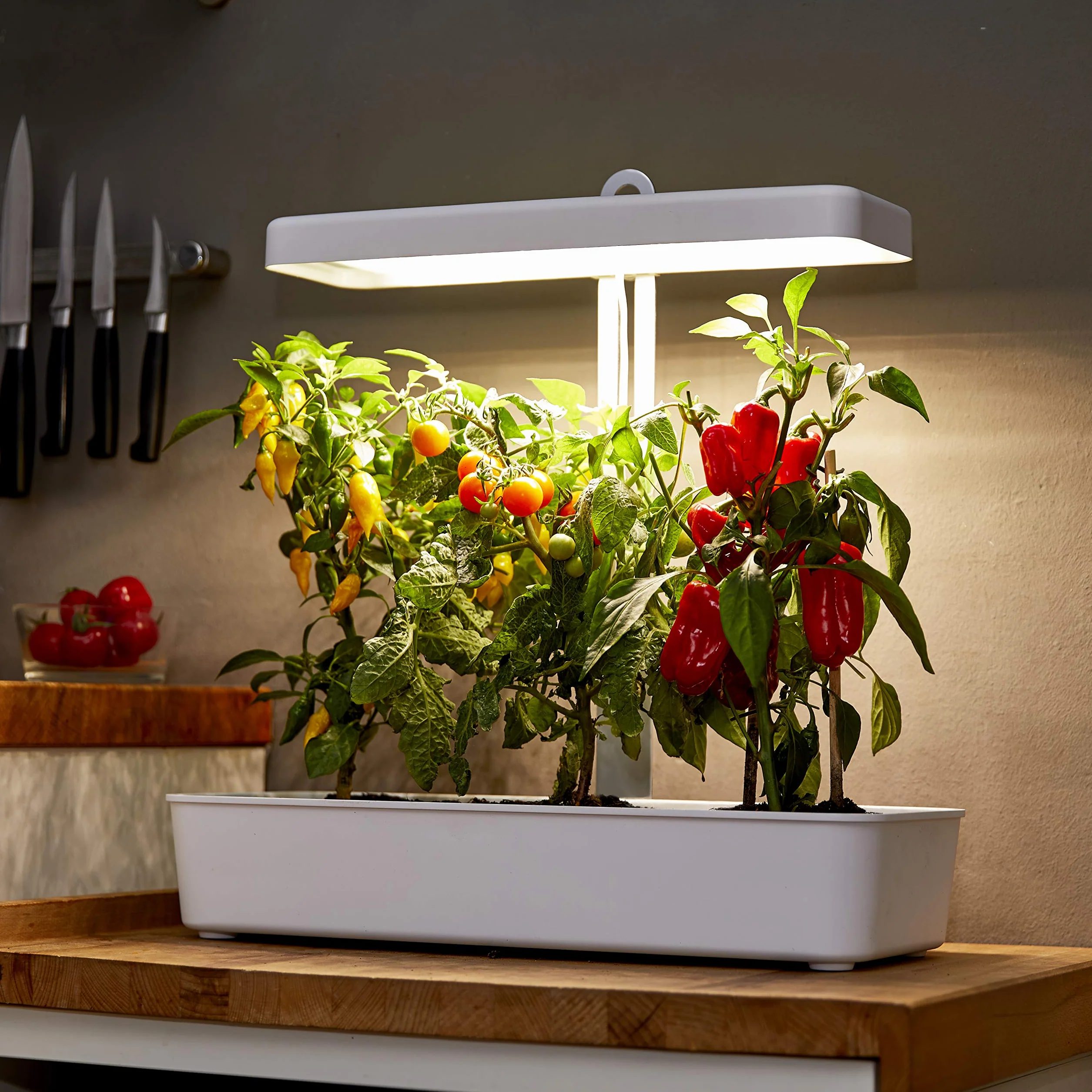 Northpoint Sistema di coltivazione idroponica a LED, lampada per piante, per giardino di erbe aromatiche, lampada da serra, 22 W, 1350 lumen, 10 piantine, altezza regolabile, timer