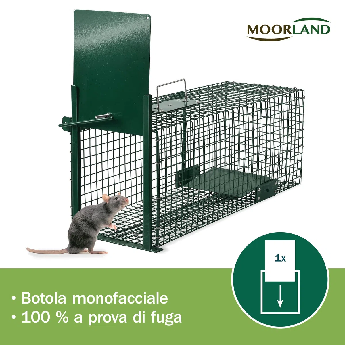 Moorland Trappola stabile e robusta animali vivi 60x23x23cm efficace Safe 5001