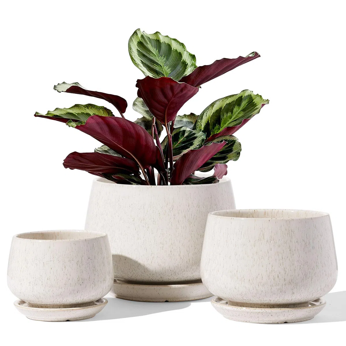 LE TAUCI Set Di 3 Vaso Per Piante In Ceramica, 10+13+16 cm Vaso per Piante da Interno Con Foro Di Drenaggio E Piattino, Vaso Da Fiori Per Interni Con Foro In Rete, Regalo Per Mamma, Beige