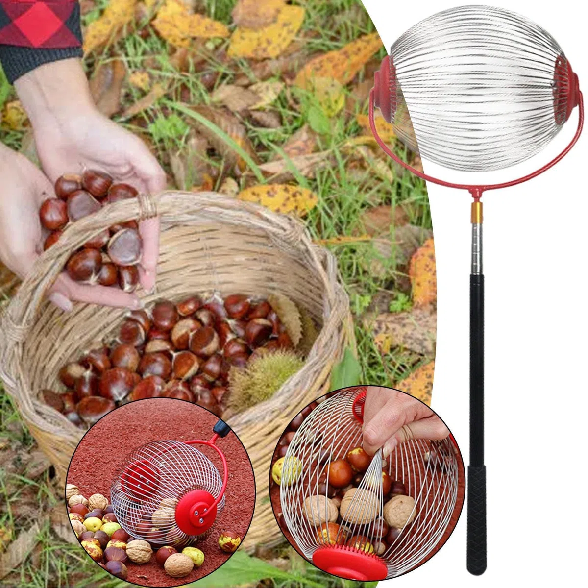 Raccogliere Noci e Frutta in Acciaio Raccoglitore di Castagne e | Noci con Manico ergonomico Strumento di Giardinaggio per la Raccolta Rapida di nocciole Marroni e Frutta Caduta