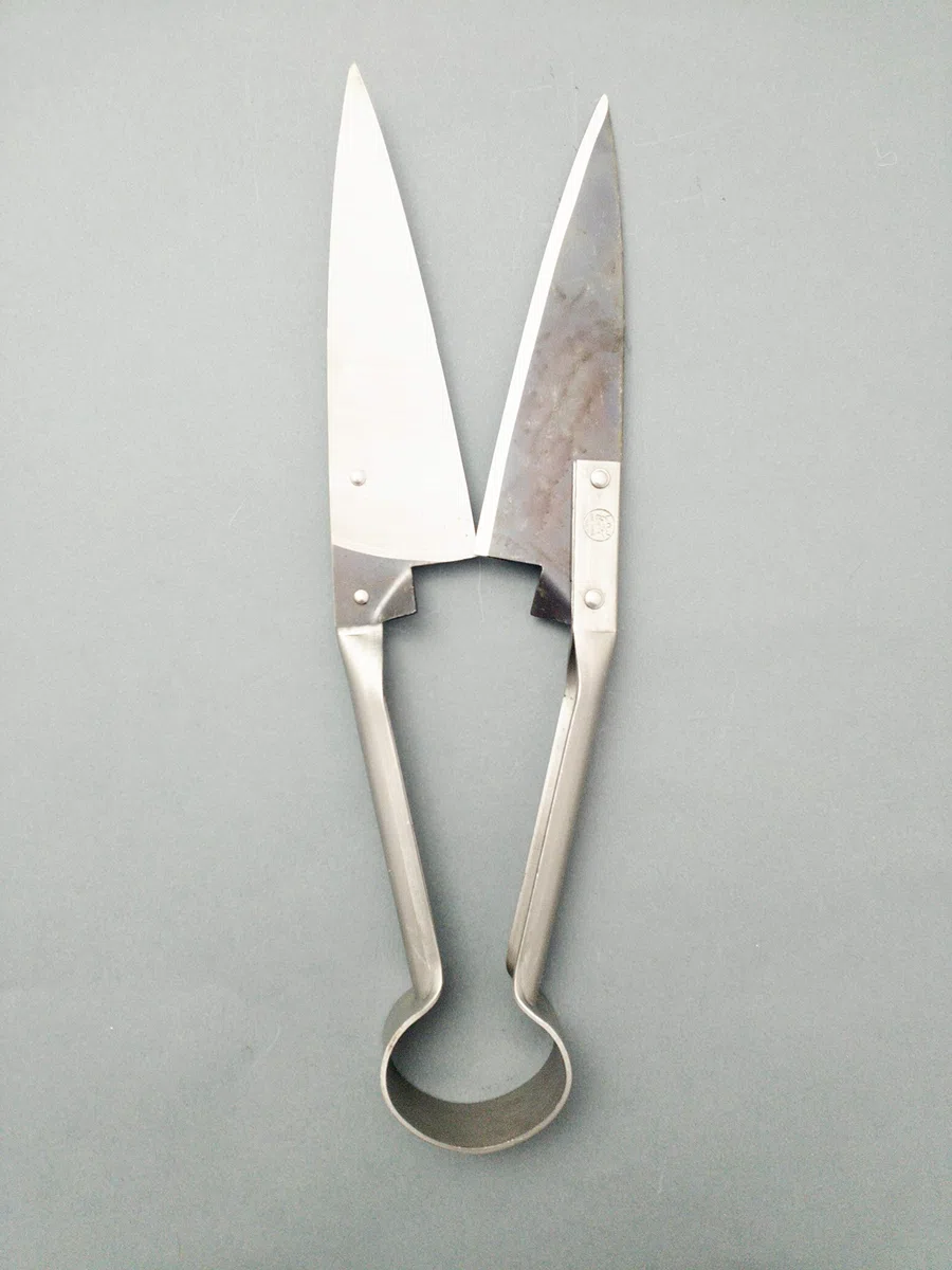 DUE BUOI FORBICE TOSAPECORA MANUALE DRITTA DB 160/34 LUNGA 34 cm CON LAMA DA 16 cm
