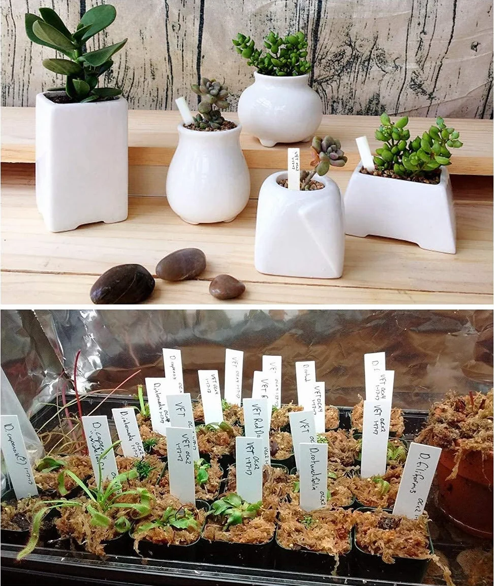KINGLAKE 300 pezzi 10x 2CM etichette targhette per piante etichetta di plastica giardino esterna ，bianco