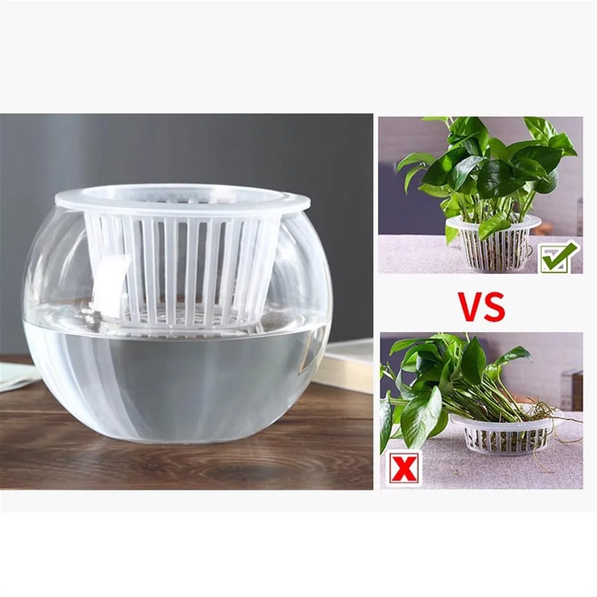 Contenitore for piante idroponiche in vetro trasparente, contenitore for acquatiche, for pesci, interno(M)