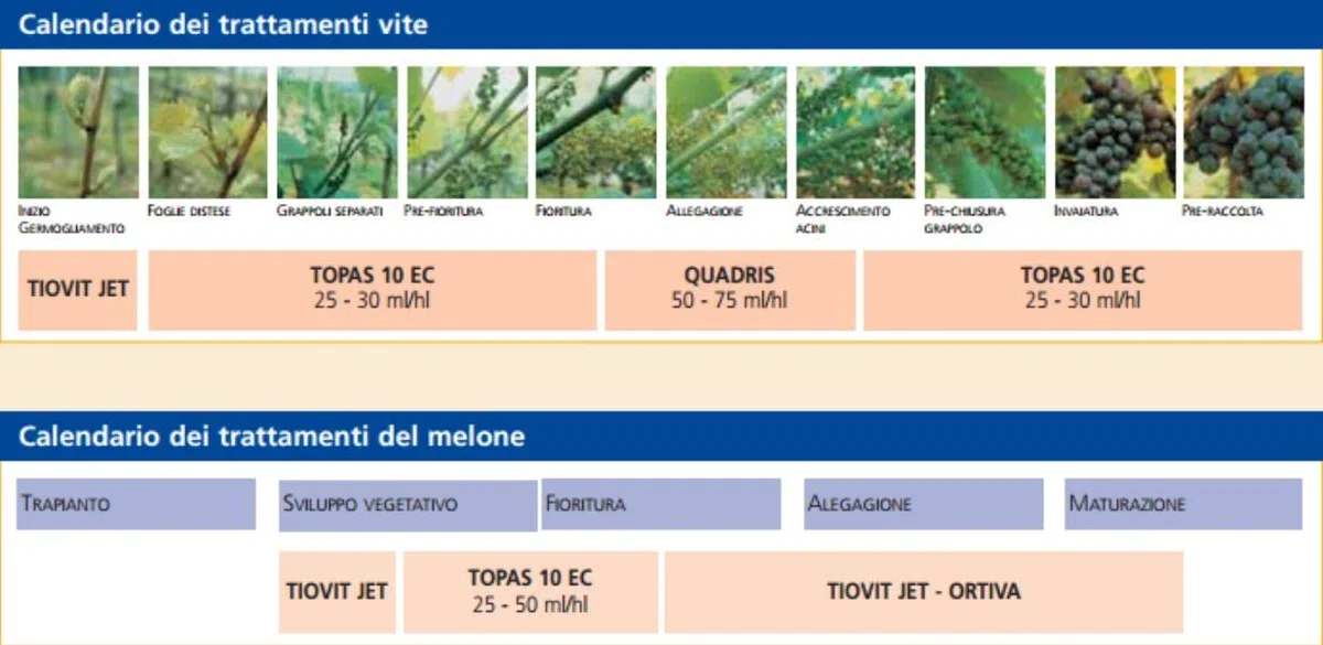 Topas 10 EC Fungicida Sistemico Oidio Penconazol 250ML
