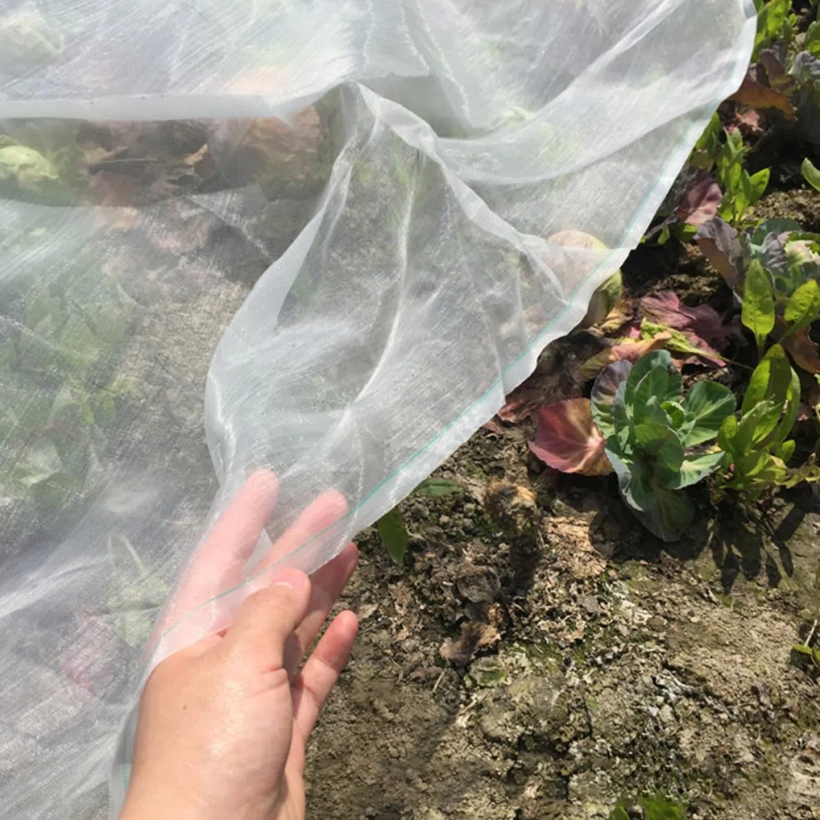 Rete in Nylon per Giardino 1 Rotolo Maglia 40 Mesh Rete Separazione Protezione da Insetti per Ortaggi e Prodotti Agricoli Resistente al Gelo per Serra e Giorni Freddi