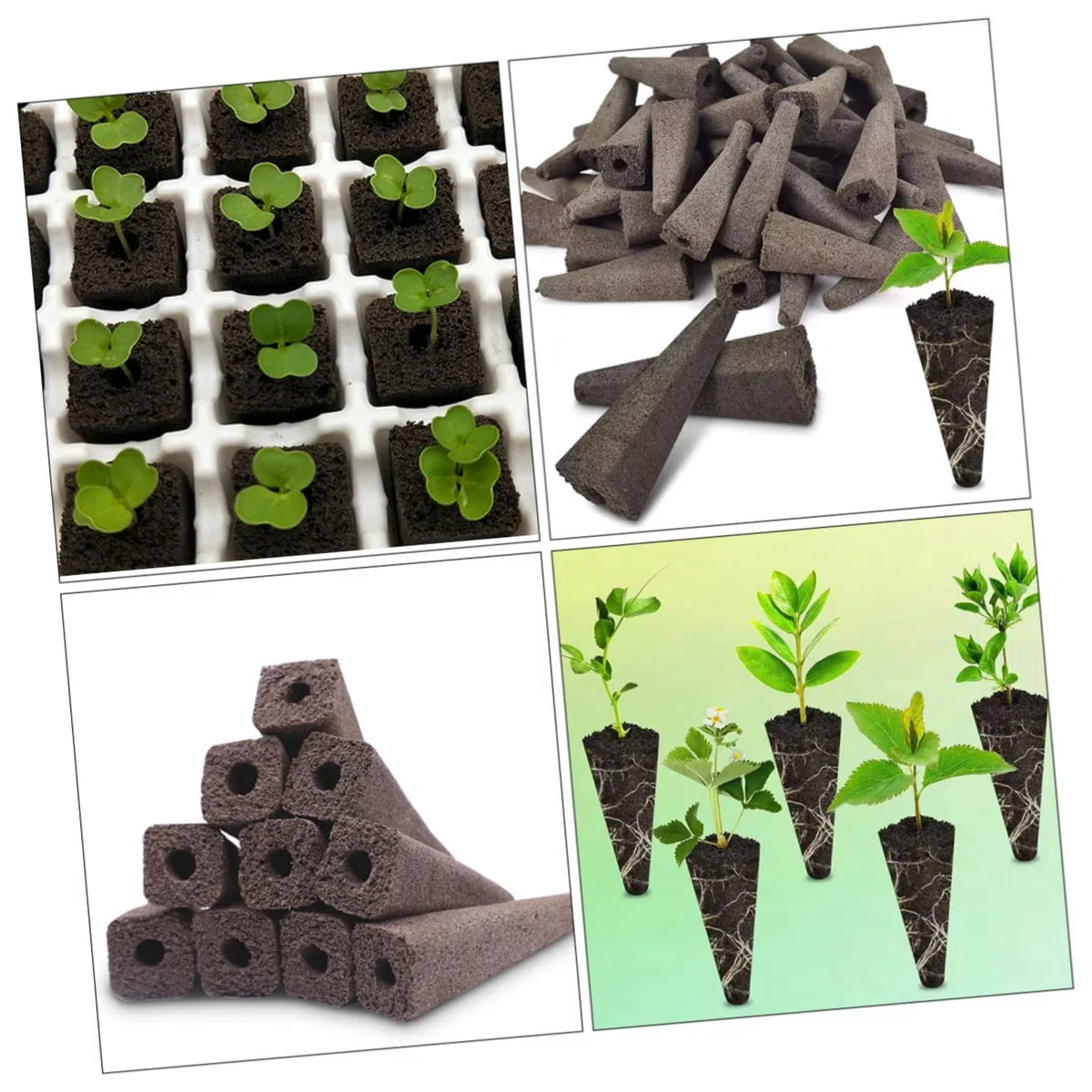 BESPORTBLE 100pezzi Nutrienti per Coltivazione per Giardinaggio Balcone e Vasi Ottimale per Semi e Idroponiche