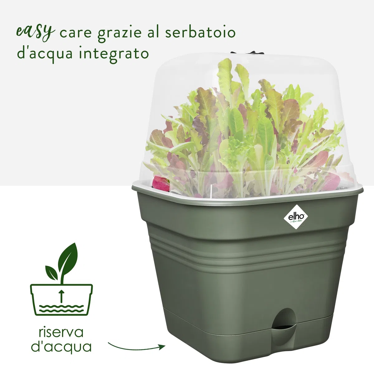 Elho Green Basics Growpot Square Allin1 15 - Vasetti per Piantine - Ø 15.0 x H 12.1 cm - Leaf Green