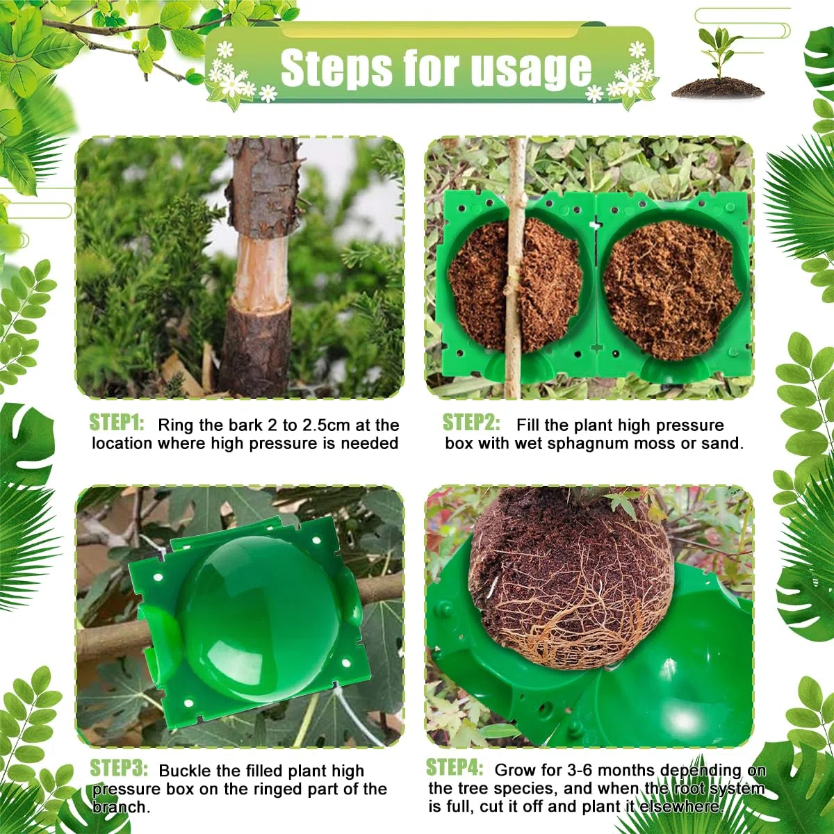 Scatola Radicamento Piante, Scatola di Innesto Delle Piante, Plant Rooting Ball, Sfere per Innesto per Piante, Scatola Coltivazione Radici Piante per Innesto da Giardino Coltivazione di Radici (Verde)