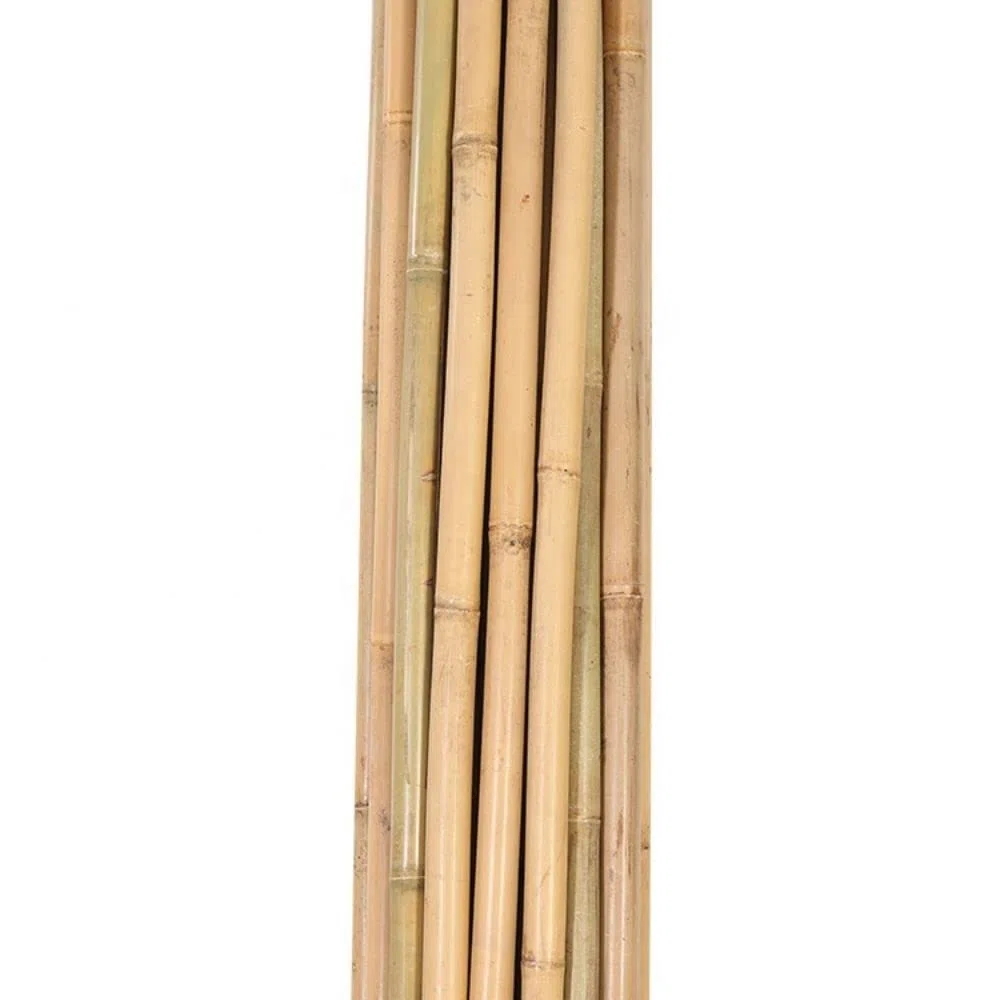 Canne di bambù naturali, per sostegno piante, orto, decorazione e arredamento (10, 180 cm/Ø 20/22 mm)