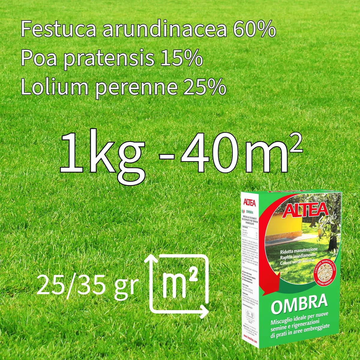 Tecnokit Semi Per Prato Ombreggiato, Miscuglio Resistente Per Aree Con Poca Luce, Semi Prato Crescita Rapida e Uniforme, Sementi Per Prato Rigogliose, Confezione 1kg - 40mq