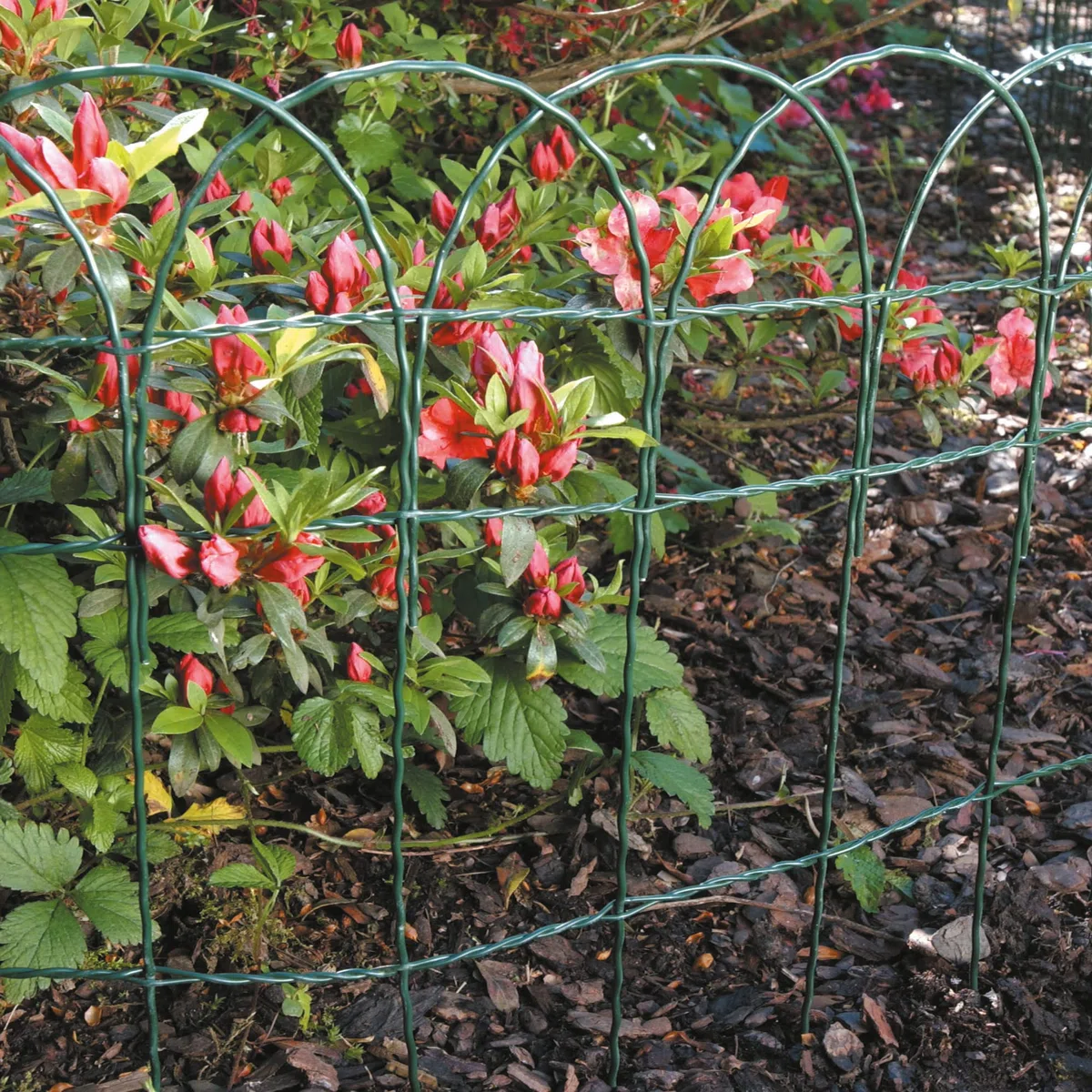 TENAX Ondamet 0,40x10 m Bordura per Giardino, Delimitazione ad Archi in Ferro Plastificato, Altezza 40 cm, Lunghezza 10 m