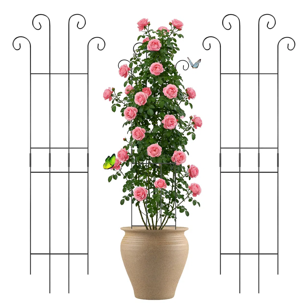 Set di 2 supporti per piante in metallo, ideali per piante rampicanti, viene fornito con 50 fascette per favorire la crescita, perfetto per giardini, balconi e uso interno (83 cm)