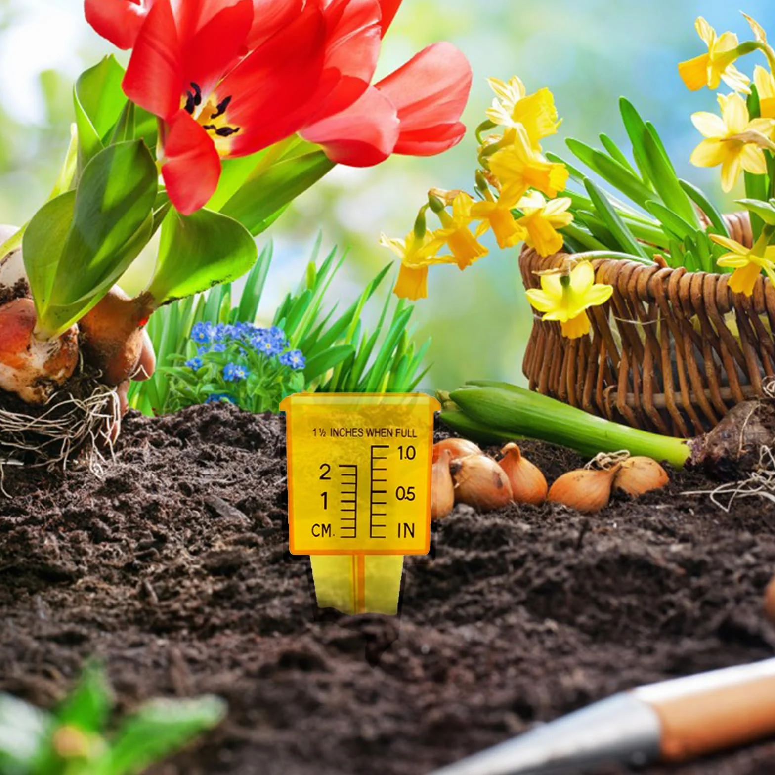 20 pezzi Pluviometro da Giardino per Monitoraggio delle Precipitazioni, Pluviometro con A Picchetto, Plastica Pluviometro con 2 Unità in Scala cm e pollice, per Utilizzato per Giardini, Orti