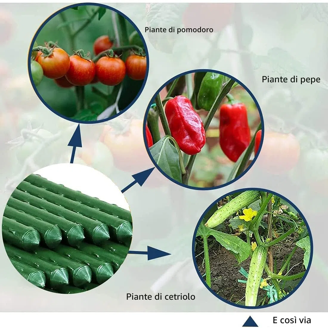 Pali per piante da giardino Bastoncini di supporto per piante verdi 20PZ Bastoncini per la coltivazione di piante con connettore Canne da giardino Pali di supporto per viti per fiori, verdure e
