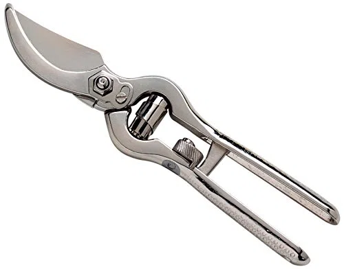 AUSONIA 31166 Forbici Vigna forgiata Grigio 23 cm