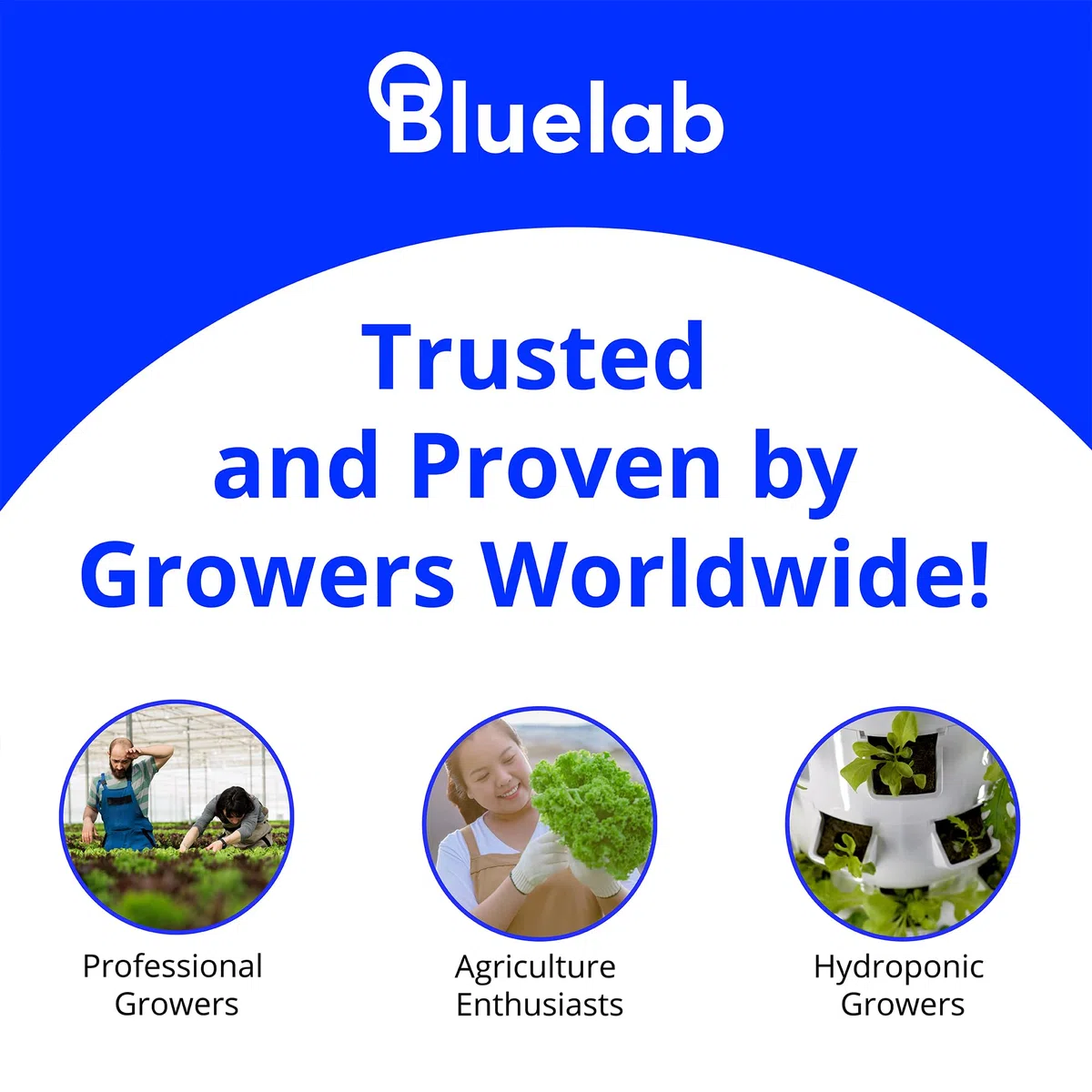 Bluelab PROBPHLEAP - Sonda di pH Leap, sonda di ricambio con attacco BNC, uso nel suolo, cocco, lana di roccia, zona radice e soluzione, facile calibrazione