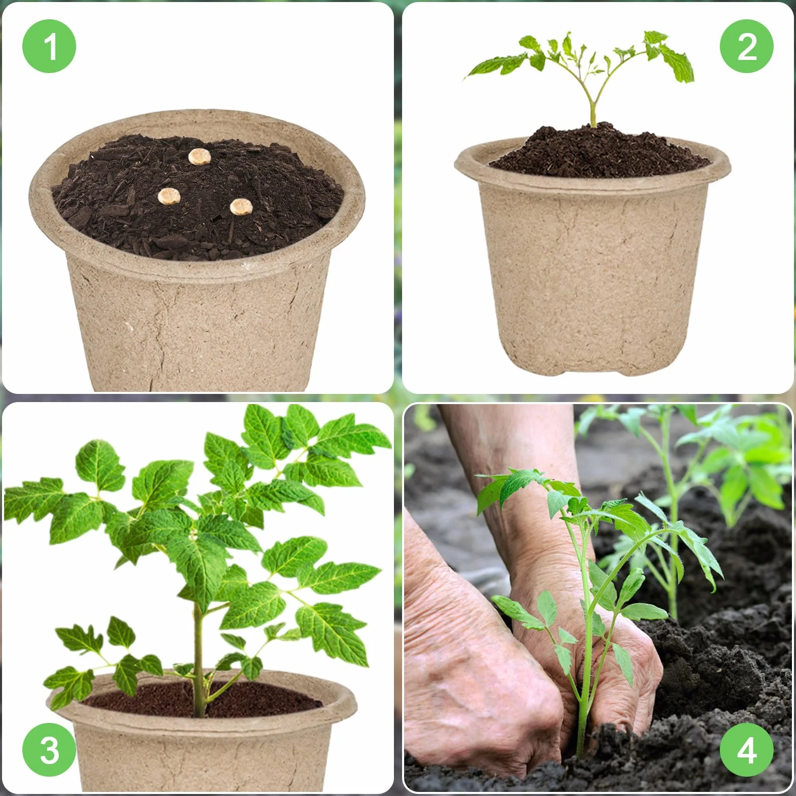 Vasetti per piantine biodegradabili, confezione da 20, Ø 11 cm. Questi vasi biodegradabili sono forniti con 20 etichette in plastica e sono adatti per la coltivazione di verdure, frutta, erbe
