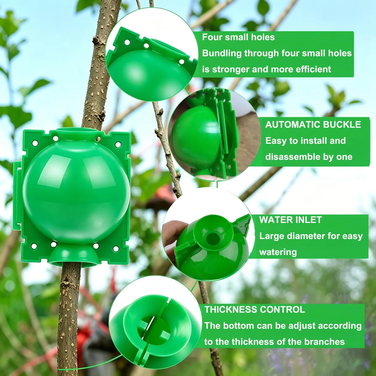 30 Pezzi Dispositivo di Radicamento delle Piante Scatola di Innesto di Piant con Fascette Scatola Coltivazione Radici Piante Propagatori Alta Pressione per Radici Innesto Giardino (Verde)