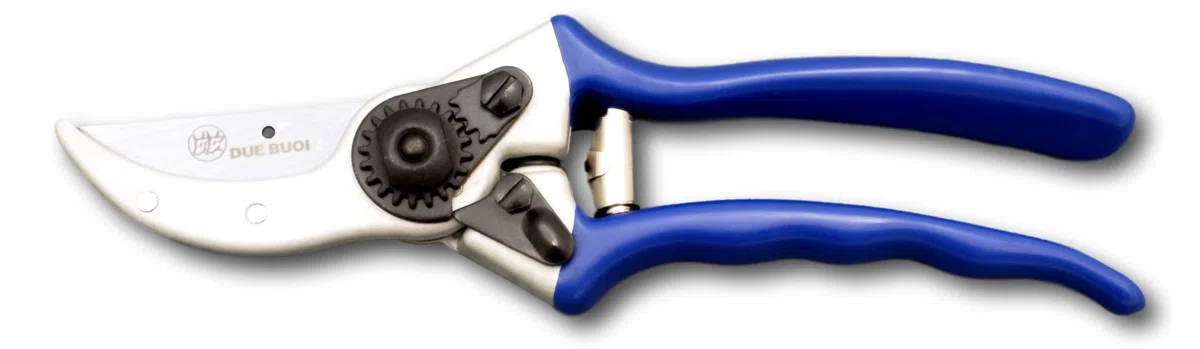 DUE BUOI T22/21 Forbice Vigna Giardinaggio Manico Alluminio