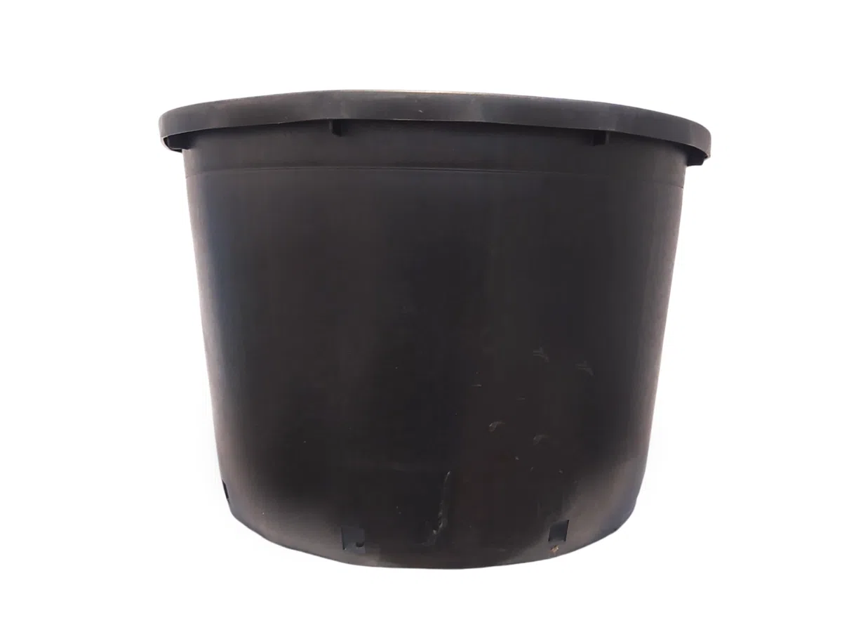 NG NICCOLAI VASO TINOZZA MASTELLO DI GRANDI DIMENSIONI SENZA MANICI CON FORI PER ORTO GIARDINAGGIO E VIVAISMO VARIE MISURE 100% PVC RICCLATO (LT. 230 (Ø85/80 cm - H. 55 cm))