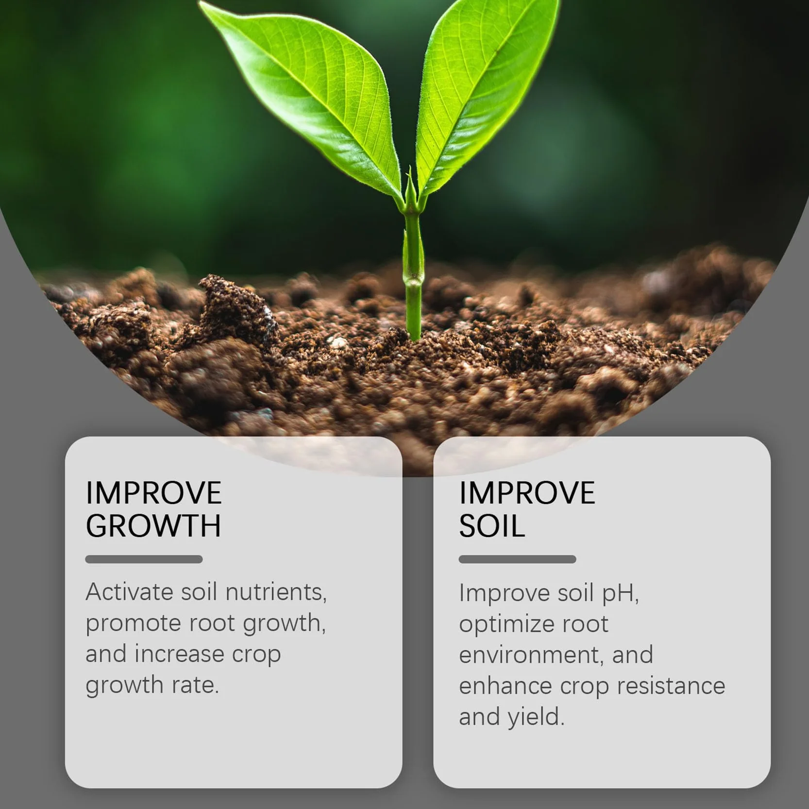Soil Pro Activator, Water Soluble Formula for Vegetables, Flowers, Houseplants, Indoor and Outdoor Plant Care (1pcs)