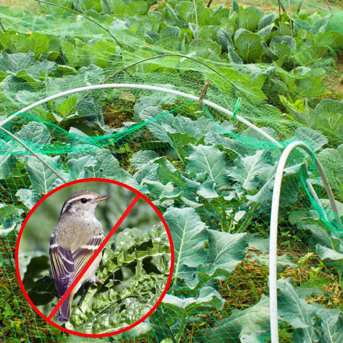 Rete per insetti a maglie strette， Garden Trellis Bird Netting 15mm Mesh Green Multiple Sizes(10x15m)