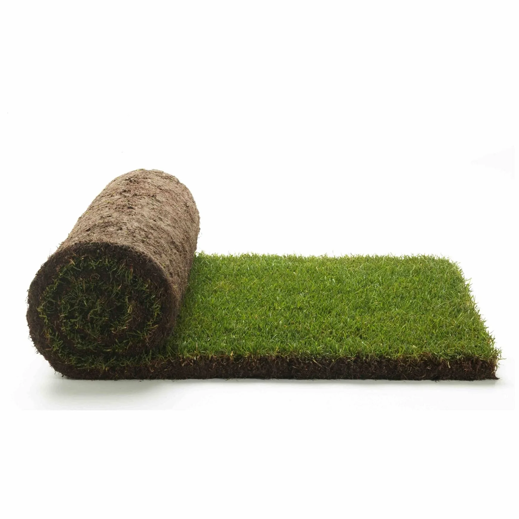 Prato Vero a Rotoli - Vera Erba Naturale per Giardino ed Esterni - 3 Metri Quadrati