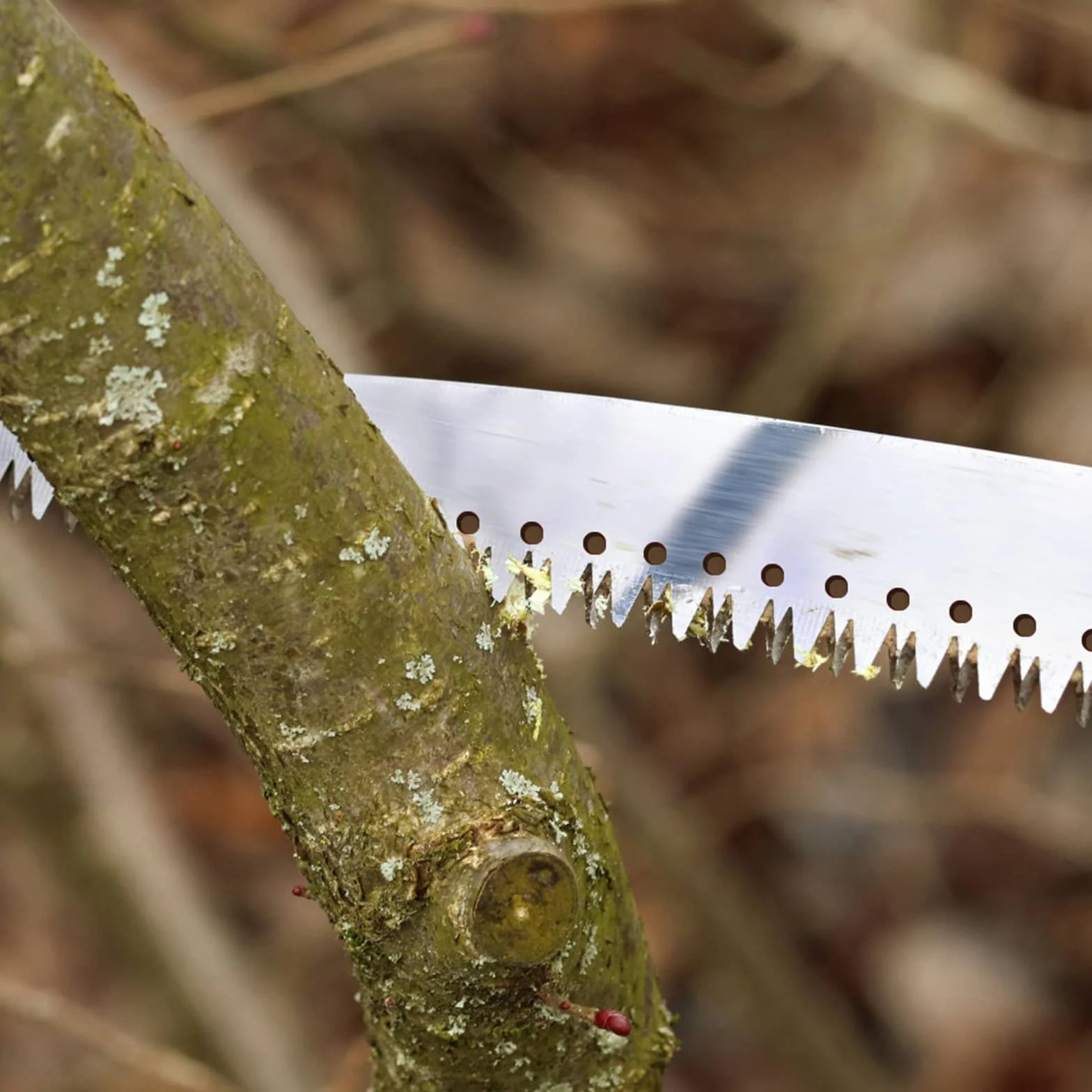 Walensee Sega da albero per potatura, 2,3 m, leggera prolunga manuale in acciaio inox, sega alta con lama per trimmer rami, cesoie per alberi per foreste, cortili, terrazze