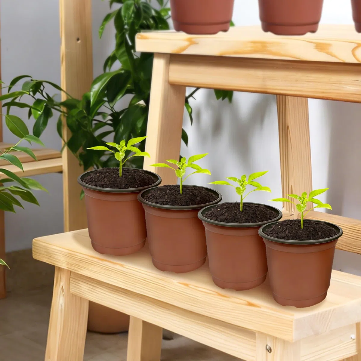 Bellanova 100 Pezzi Vasetti per Piantine 10 cm, Vasi Plastica per Piante con Fori di Drenaggio, per Semina, Talee e Trapianto, Riutilizzabili (100, 10cm)