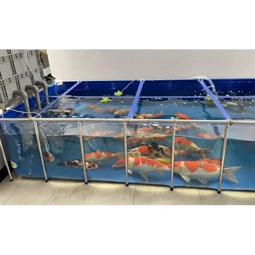 Stagno per pesci in PVC con telaio in acciaio grande piscina rettangolare fuori terra finestra di visualizzazione trasparente Serbatoio d'acqua pieghevole per l'allevamento del giardino Facile