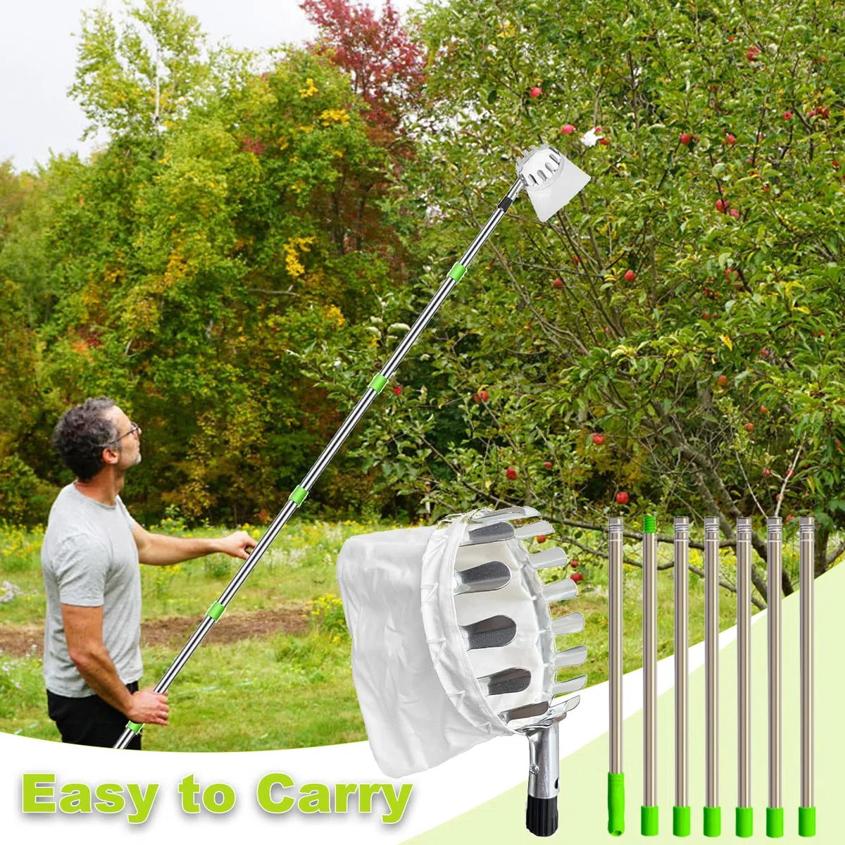 Raccogli Frutta,Raccogli Frutta con Palo in Acciaio Inox Leggero,2.8m Raccoglitore di Frutta,Diametro 13 cmMela Raccoglitrice,Raccogli Frutta da Albero con Testa a Cestello,Raccogli Fichi