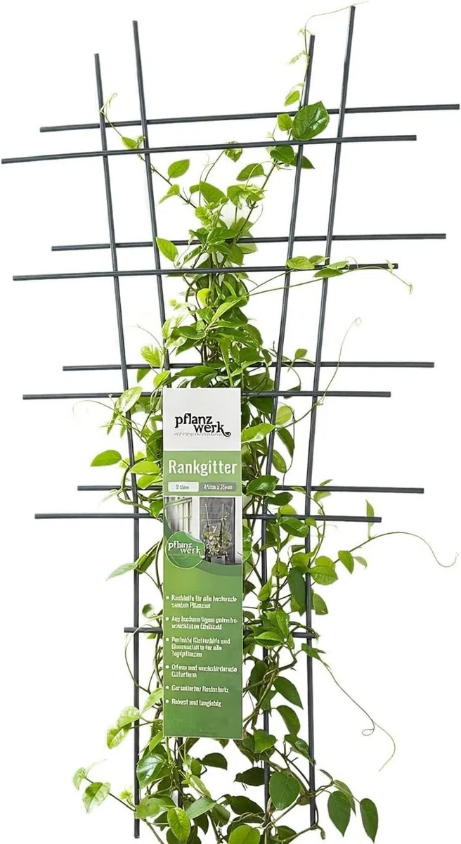 Pflanzwerk Vaso per piante rampicanti – 2 pezzi – 78 x 35 cm – aiuti per piante rampicanti – 100% antiruggine – protezione dalle radici – 100% protezione dai raggi UV – 100%