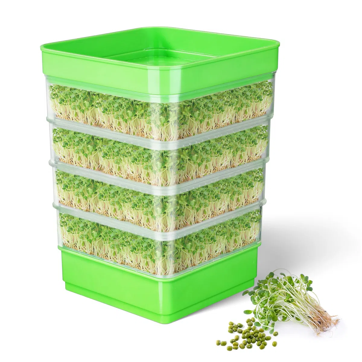 WYWY Kit di germinazione di fagioli a 4 piani, vassoi da coltivazione impilabili per microrganismi verdi