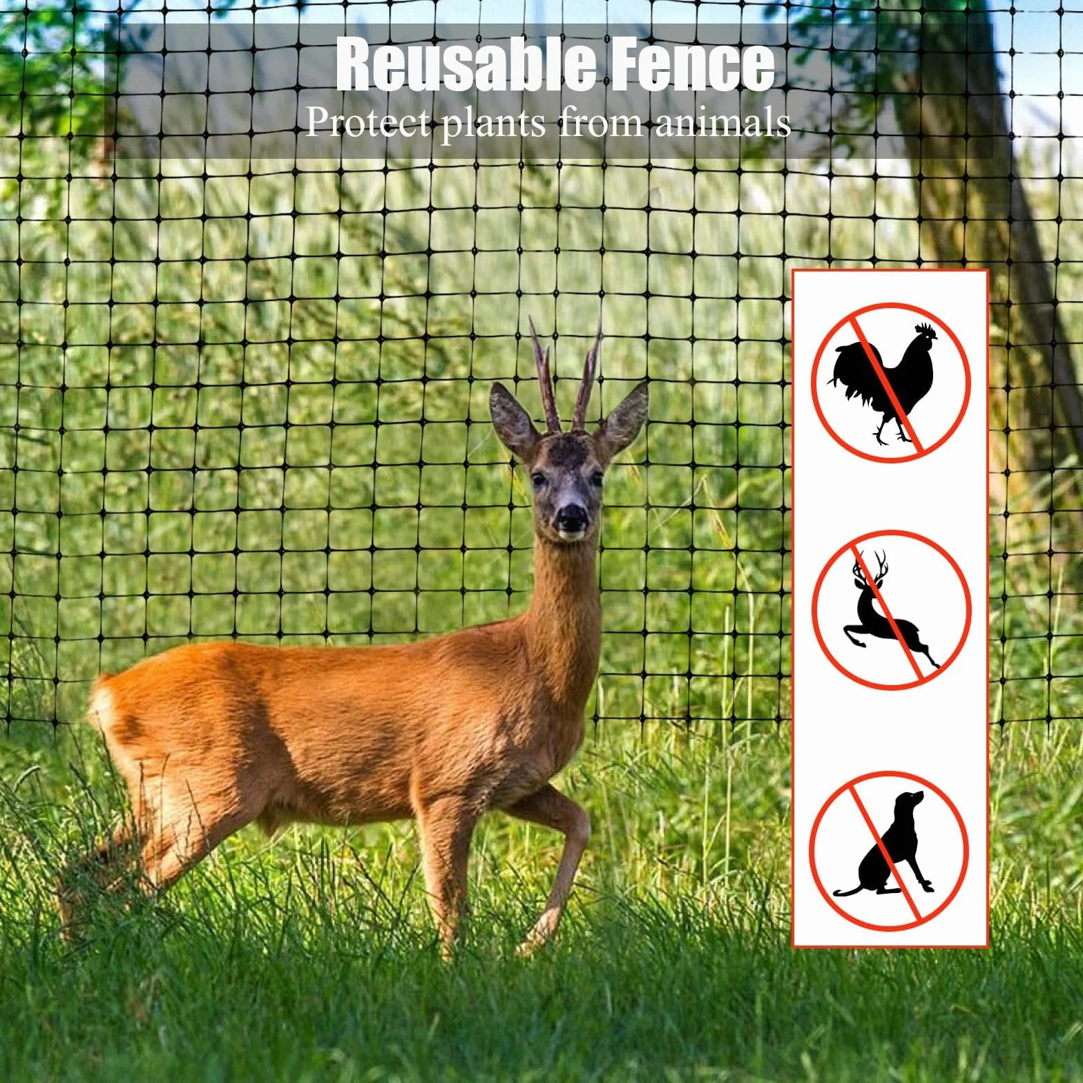 Rete anti Uccelli, 4 X 10m Rete per Uccelli Protezione, Rete Antiuccelli con 50 Pezzi Fascette, Rete da Giardino Proteggere Ortaggi Frutti Fiori da Uccelli Animali Parassiti