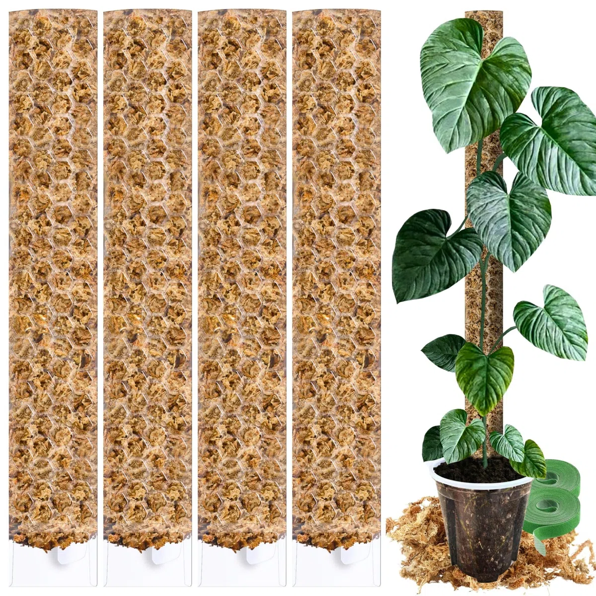 Tutore in Muschio XL per Monstera 4 Pezzi 63 x 9,5 cm - Supporto Estensibile e Set Accessori - Pali per Piante con Velcro e Substrato Speciale di Muschio - Ottimizzato per Aroidi