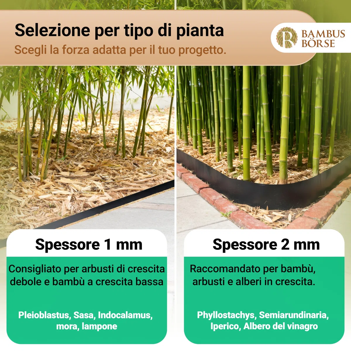 Barriera per Radici - Barriera per rizomi Alta 70 cm, Spessa 2 mm, Lunga 20 m - Realizzata in HDPE di Alta qualità - Barriera per rizomi di bambù - Barriera Anti-Radici