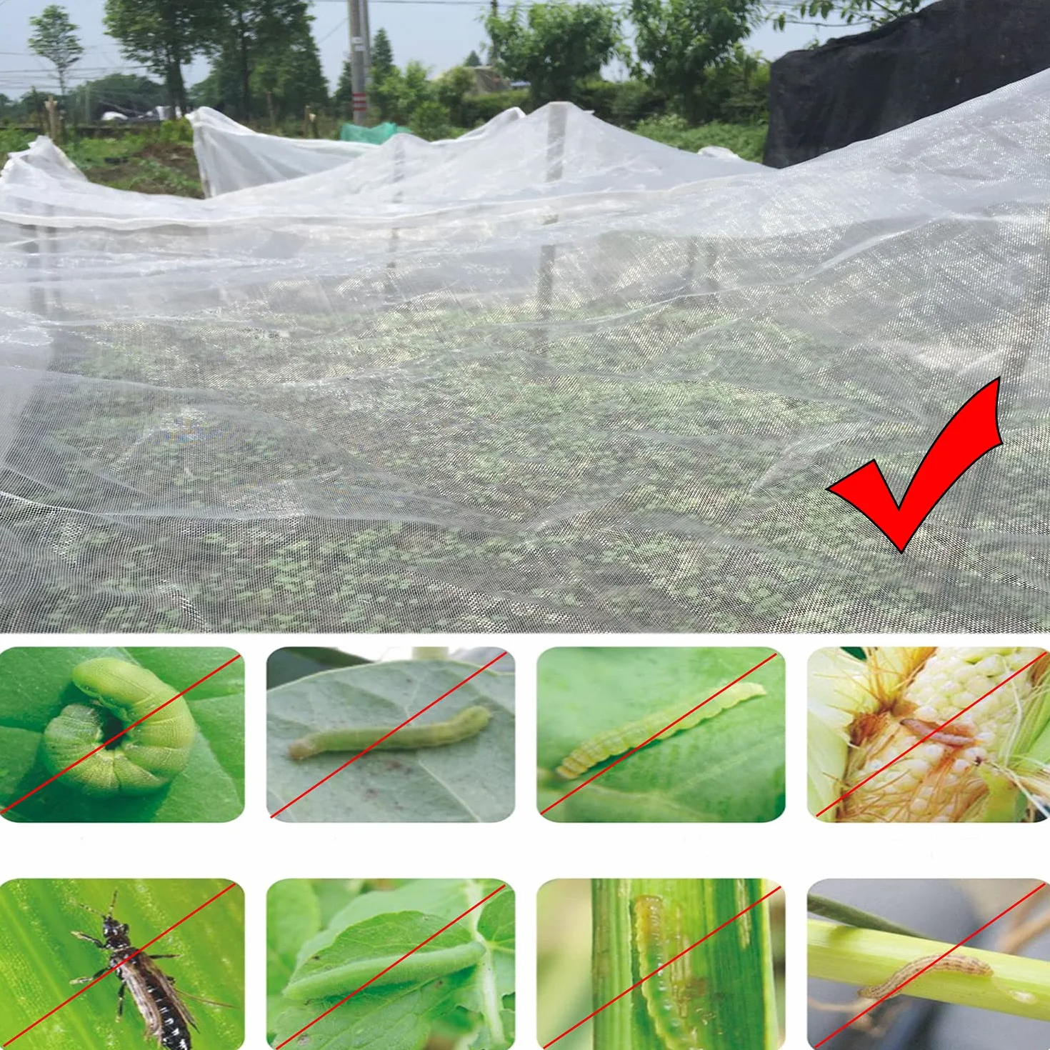 Rete Anti Insetti 3X15m, Antigrandine per Orto, Protezione Piante - Anti Pest Mosquito e Uccelli