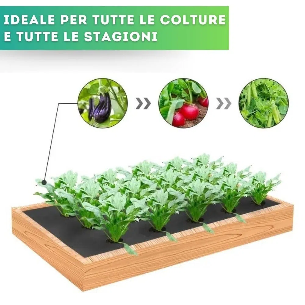 DI GIULIO SRL Telo Nero Pacciamatura 100 Metri x 1 Metro Larghezza con Fori Centrali Ogni 30 cm | Copertura Terreno Pacciamante Antierbacce | Bio Orto