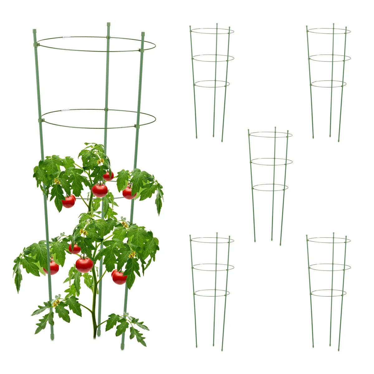 Relaxdays Set da 6 Sostegni per Pomodori Circolari, Alti 76 cm, per Piante Rampicanti, Rose, 3 Anelli Regolabili, Verde