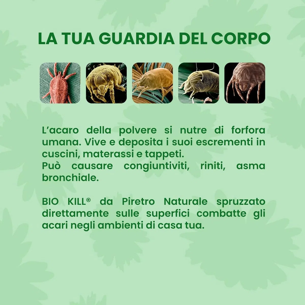 Biokill Insetticida Biologico di Piretro Naturale a Base Acquosa - Flacone Ricarica da 1 litro Bio Kill
