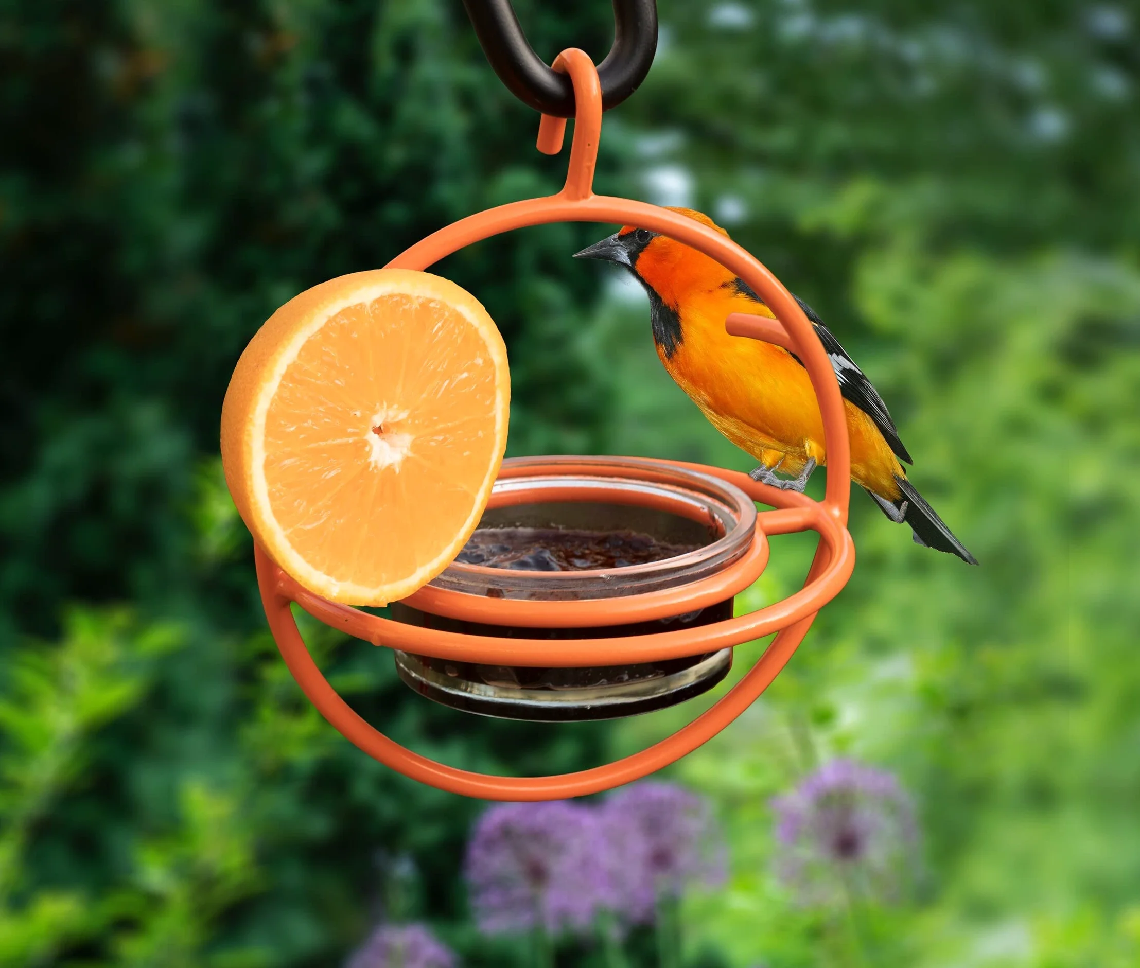 Monarch Abode Mangiatoia per uccelli da appendere all'esterno, arancione, 18748