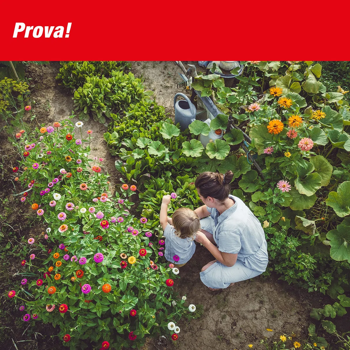 SWISSINNO Dissuasore solare talpe arvicole fino a 650 m² ultrasuoni vibrazioni anti roditori resistente alle intemperie per giardino prato funzionamento continuo giorno notte dispositivo 1 pezzo