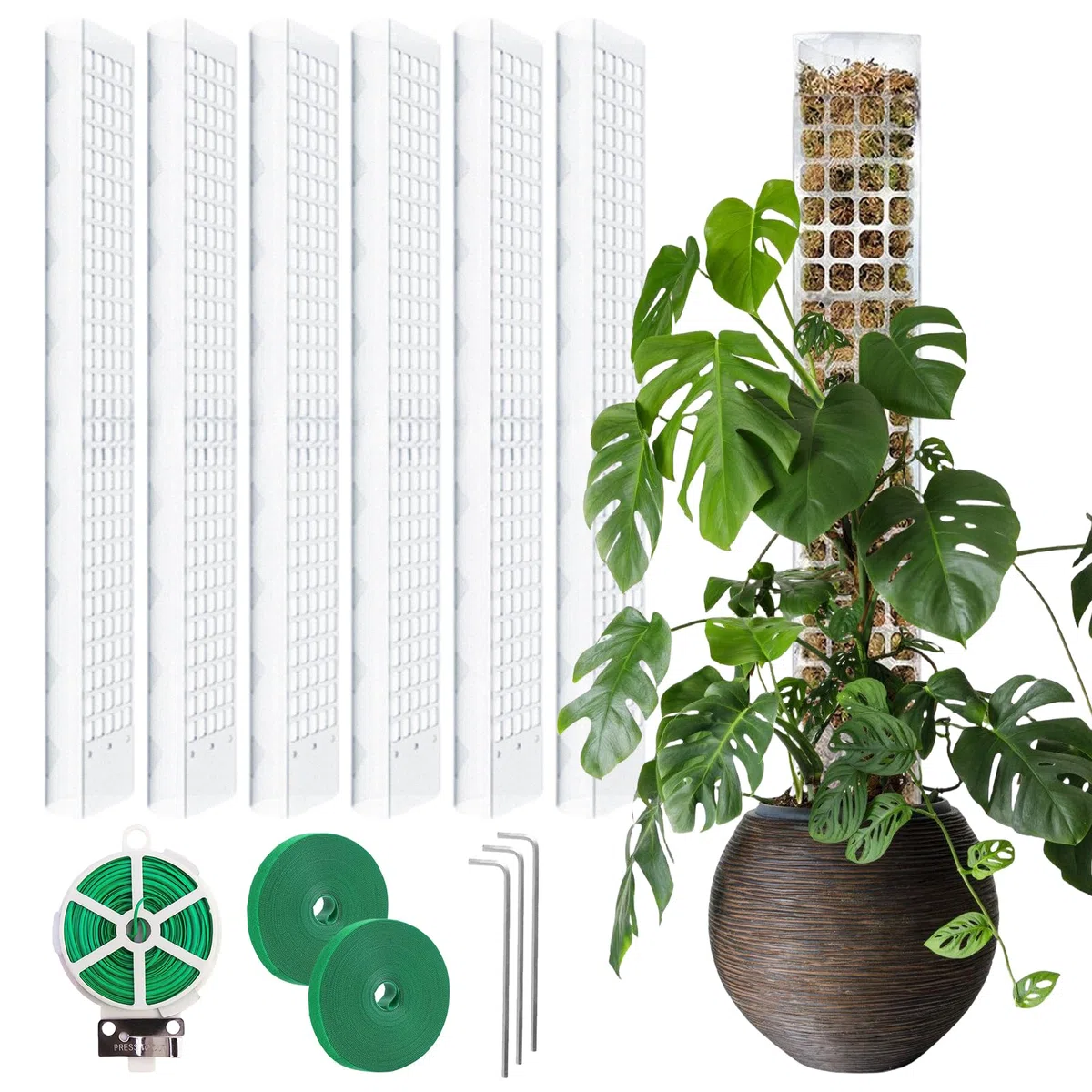 Monstera, 6 pezzi da 61 cm, asta di muschio Monstera, asta per piante da giardino con nastri per piante e , asta per muschio per Monstera, Moss Pole per piante rampicanti da appartamento